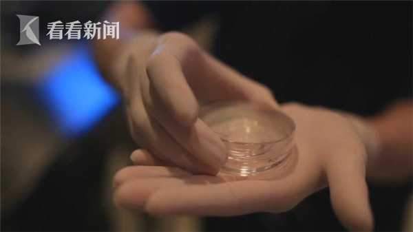 1544072201935596.jpg 1.jpg