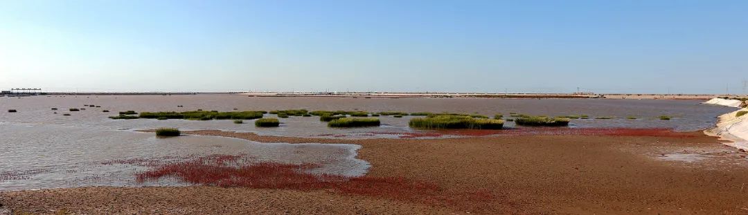 9月21日:2020首届中国 • 滨州汇泰盐田虾文旅节盛大开幕 9月21日:2020首届中国 • 滨州汇泰盐田虾文旅节盛大开幕