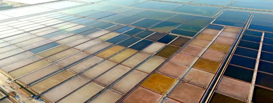 9月21日:2020首届中国 • 滨州汇泰盐田虾文旅节盛大开幕 9月21日:2020首届中国 • 滨州汇泰盐田虾文旅节盛大开幕