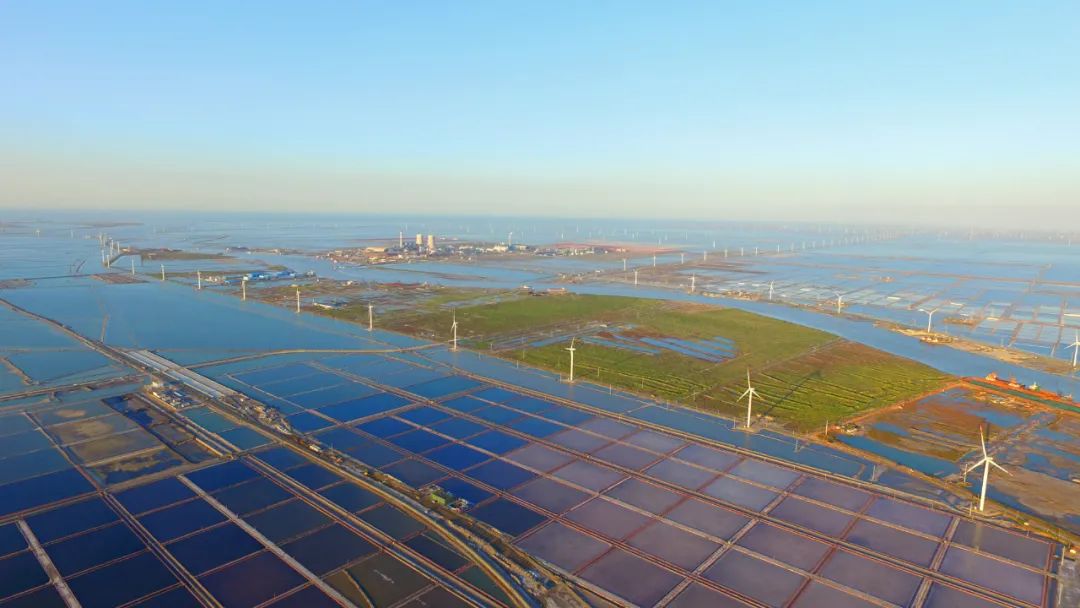 9月21日:2020首届中国 • 滨州汇泰盐田虾文旅节盛大开幕 9月21日:2020首届中国 • 滨州汇泰盐田虾文旅节盛大开幕