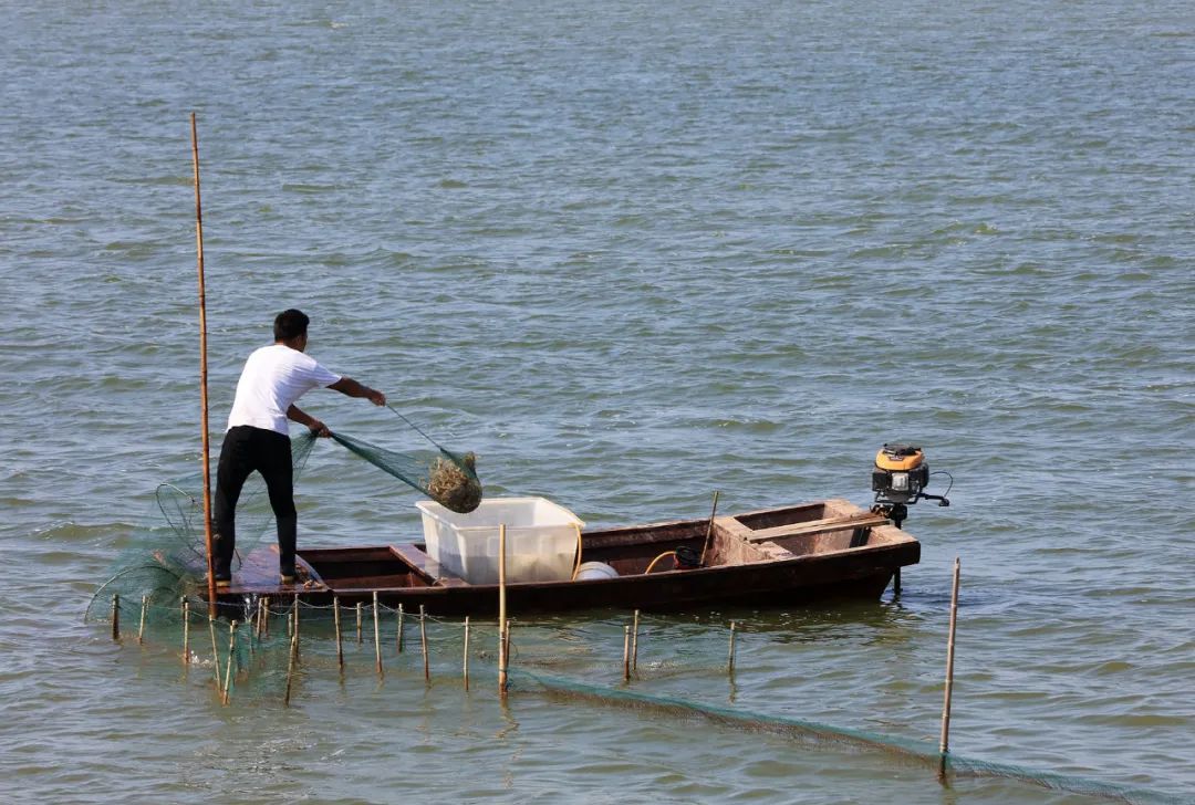 9月21日:2020首届中国 • 滨州汇泰盐田虾文旅节盛大开幕 9月21日:2020首届中国 • 滨州汇泰盐田虾文旅节盛大开幕