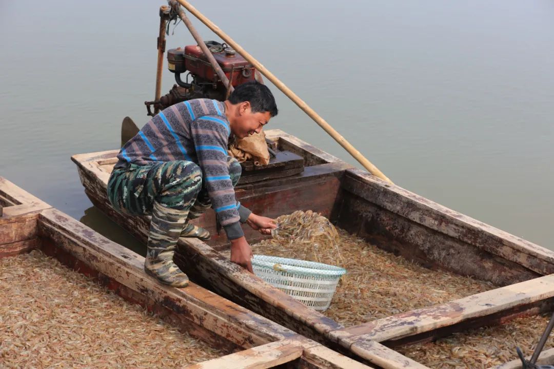 9月21日:2020首届中国 • 滨州汇泰盐田虾文旅节盛大开幕 9月21日:2020首届中国 • 滨州汇泰盐田虾文旅节盛大开幕