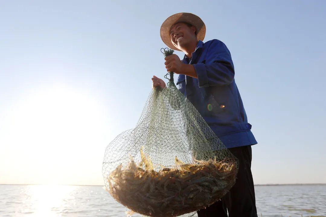 9月21日:2020首届中国 • 滨州汇泰盐田虾文旅节盛大开幕 9月21日:2020首届中国 • 滨州汇泰盐田虾文旅节盛大开幕