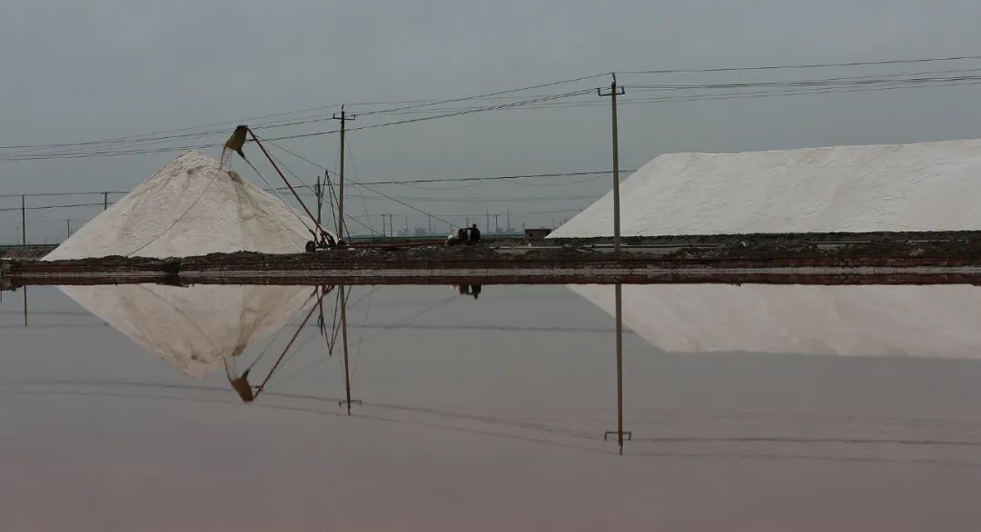 9月21日:2020首届中国 • 滨州汇泰盐田虾文旅节盛大开幕 9月21日:2020首届中国 • 滨州汇泰盐田虾文旅节盛大开幕