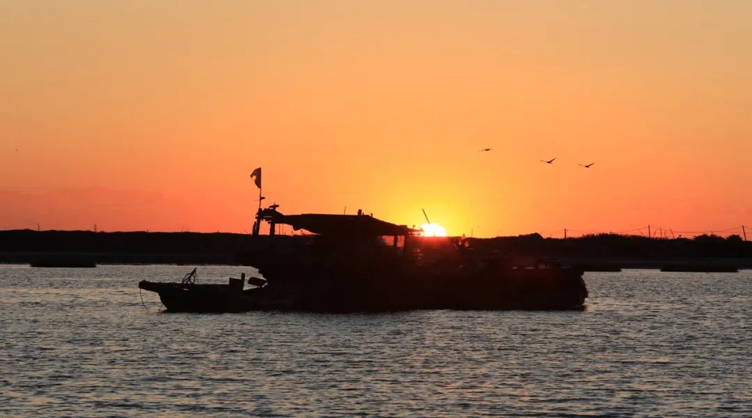 9月21日:2020首届中国 • 滨州汇泰盐田虾文旅节盛大开幕 9月21日:2020首届中国 • 滨州汇泰盐田虾文旅节盛大开幕