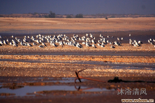 �����ɾ��������ӵ�