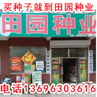 �����Ӿ͵���԰��ҵ