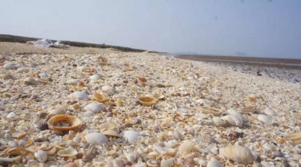 ������ξ����Ƽ�